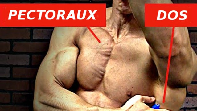 Comment muscler votre dos et vos pectoraux en même temps grâce au poids du corps