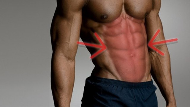 Abdos : le programme idéal pour brûler les graisses et se muscler