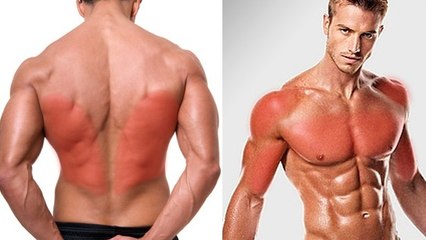 Une séance d'entraînement complète pour l'ensemble des muscles du haut du corps