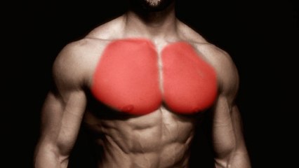L'entraînement idéal pour muscler toutes les parties des pectoraux