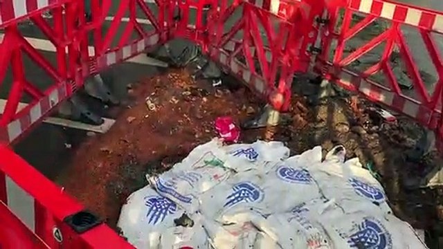 İBB'nin ağaç katliamına tepki! 'Reklam yeri açtılar' iddiası