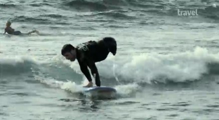 Cet homme sans jambes fait du surf comme un professionnel