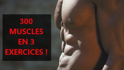 Un spécialiste a créé un programme d'entraînement unique : 300 muscles travaillés avec 3 exercices !