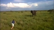 Ivre, il court et charge un éléphant sauvage dans le Parc National Kruger