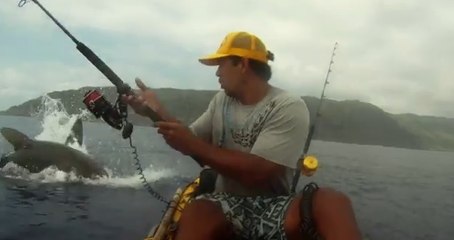 Ce pêcheur a eu la peur de sa vie face à un requin