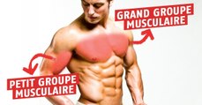 Découvrez la différence entre les grands et petits groupes musculaires