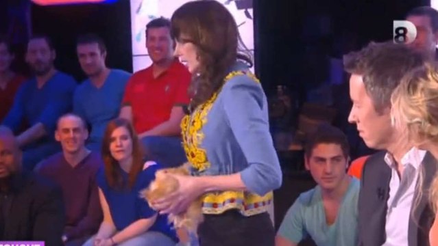 Touche pas à mon poste : Frédérique Bel endort une poule en plein direct !