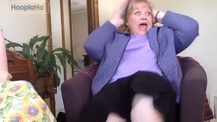 Découvrez la réaction explosive de ces futurs grands-parents