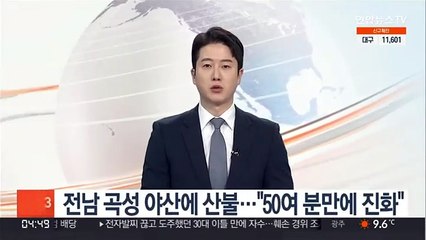 전남 곡성 야산에 산불…"50여 분만에 진화"