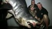 Record : le plus gros requin mako du monde pêché au large de Los Angeles !
