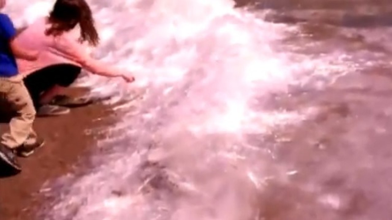 En plein soleil, des centaines de pics de glace se forment le long d'un lac du Minnesota