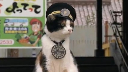 Découvrez comment un chat errant nommé Tama a réussi à sauver une gare au Japon
