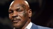 Mike Tyson : son étrange passion pour les pigeons