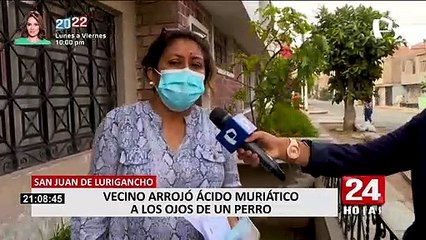 SJL: perro pierde la visión de un ojo tras brutal ataque de vecino con ácido muriático