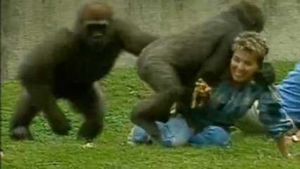 L'ancienne animatrice Isabelle Duhamel attaque l'INA à cause d'un bêtisier culte