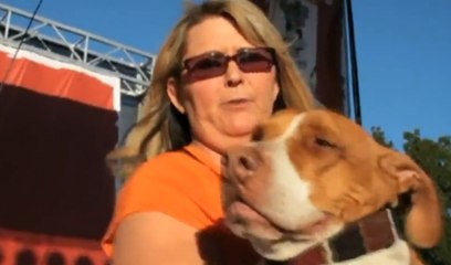 Le chien le plus moche du monde : Walle  remporte l'édition 2013 !