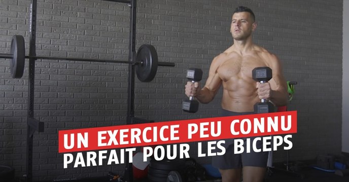 Cet exercice très peu utilisé est pourtant l'un des meilleurs et des plus simples pour muscler vos biceps