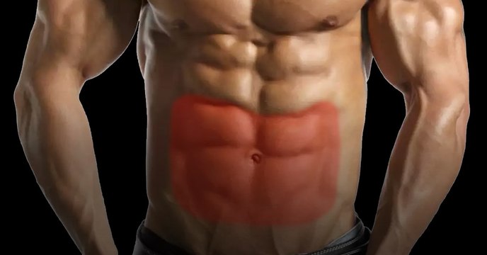 Programme musculation : l'entrainement parfait pour muscler le bas de vos abdos