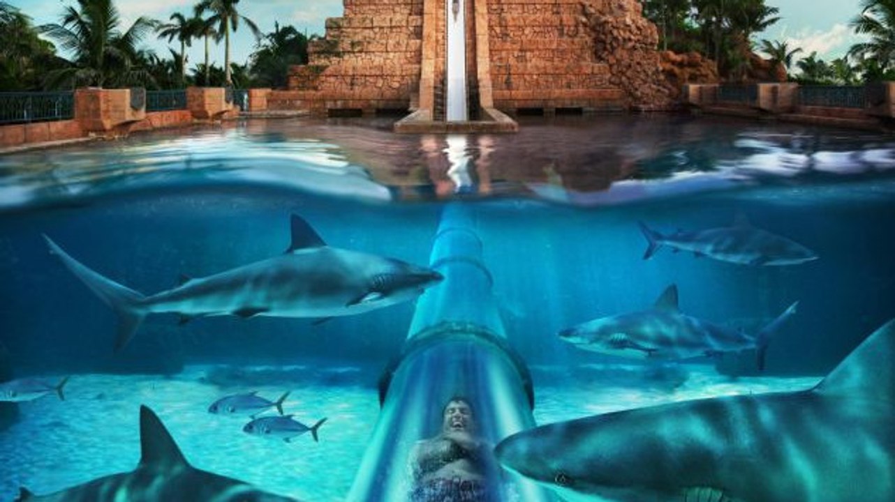 The Leap of Faith : Ce toboggan aquatique vous fait glisser au milieu des requins
