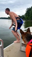 Dog Falls off Boat