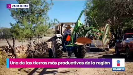 Sarabia pasó de ser una comunidad productiva a un pueblo fantasma