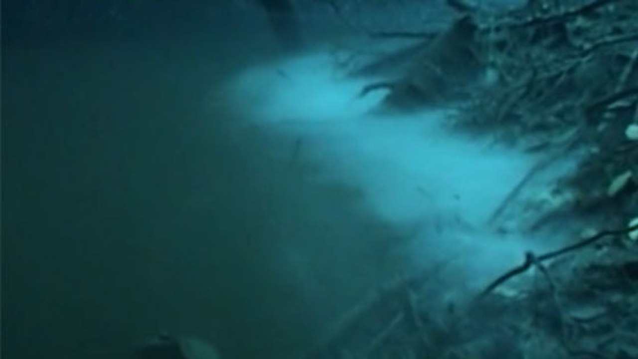 A la Péninsule du Yucatan, une rivière sous-marine se déploie sous l'océan