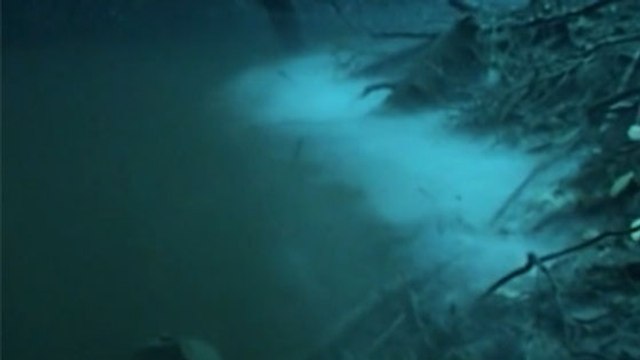 A la Péninsule du Yucatan, une rivière sous-marine se déploie sous l'océan