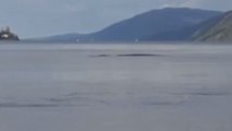 David Elder a-t-il réussi à filmer le monstre du Loch Ness ?