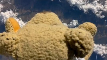 Le record du monde de Felix Baumgartner battu par... un ours en peluche