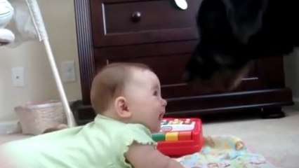 Les aboiements de ce chien amusent ce bébé