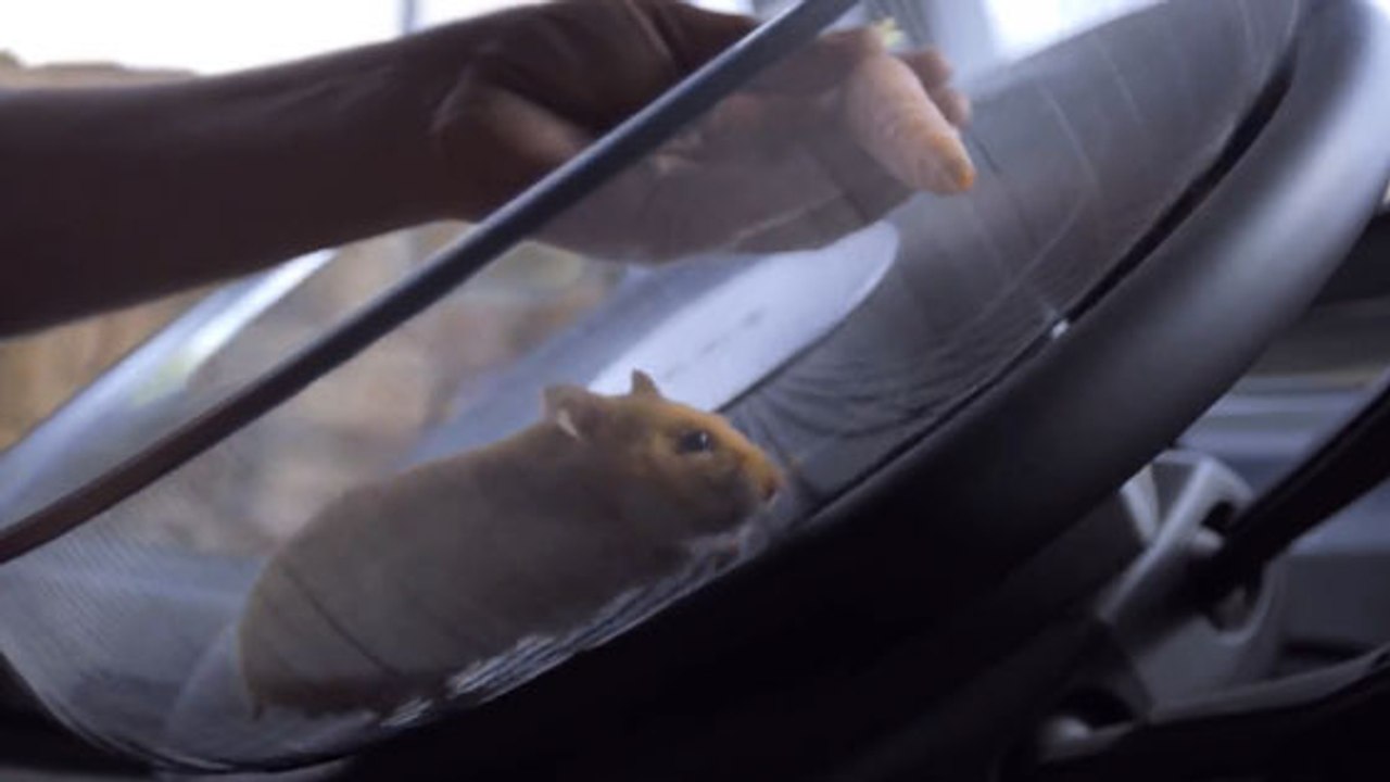 Volvo laisse un hamster conduire un camion FMX de 15 tonnes !