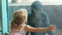Regardez cette fille et ce bébé gorille devenir les meilleurs amis du monde
