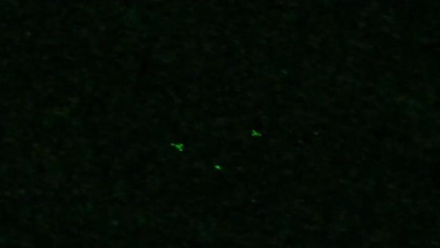 OVNI : D'étonnants objets non identifiés en Allemagne filmés en vision nocturne