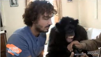 Le Petit Journal : Maxime Musqua fait tester l'iPhone 5S à un singe