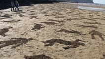 9000 corps dessinés dans le sable en souvenir des soldats tombés le Jour J en Normandie