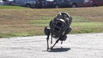 Découvrez Wildcat, le robot à 4 pattes incroyable de Boston Dynamics