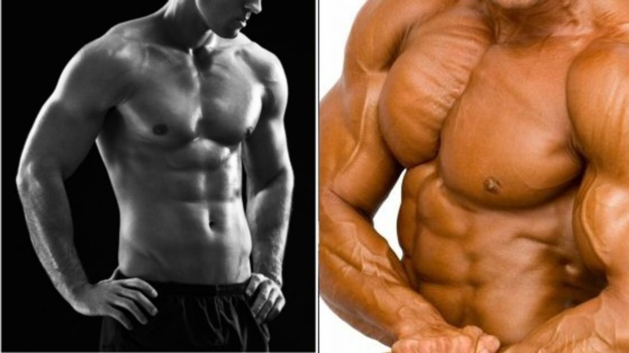 Quel est le rapport entre la force et le volume musculaire ?