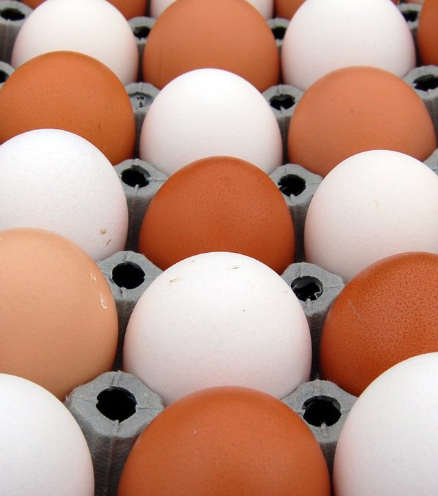 Quels sont les aliments périmés que l'on peut manger sans risques ?