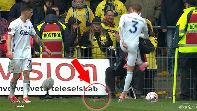 Des supporters balancent des rats sur la pelouse lors du derby Brondby - FC Copenhague au Danemark