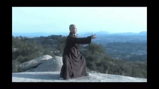 Taï Chi vs MMA : Quand un maître affronte un combattant, ça se termine très mal