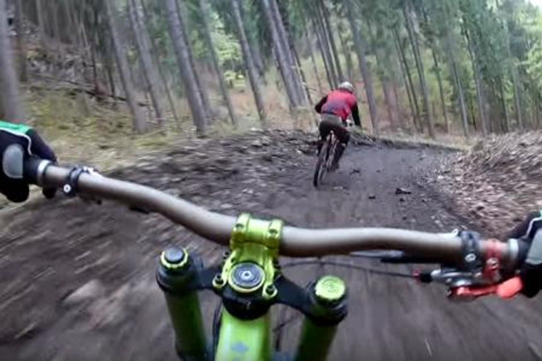 Deux cyclistes en VTT rencontrent un ours en pleine forêt