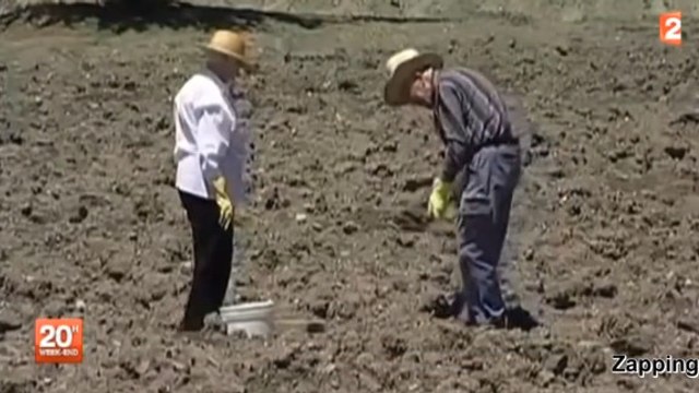 Arkansas : Dans une mine de diamants, les visiteurs peuvent repartir avec des pierres de plusieurs carats