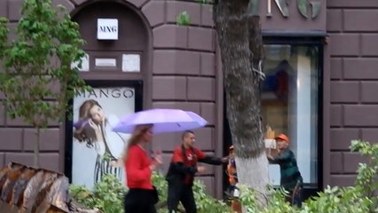 A une seconde près, cette femme a bien failli finir écrasée sous un arbre