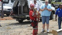 L'incroyable sauvetage d'un chien prisonnier du ''Big Hole'' en Afrique du Sud