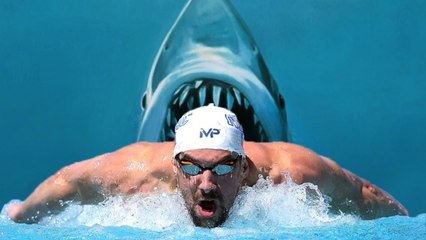Michael Phelps va faire la course contre... un grand requin blanc !