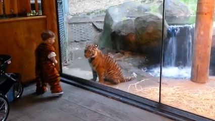 Découvrez la rencontre étonnante entre un bébé tigre et un enfant déguisé en tigre