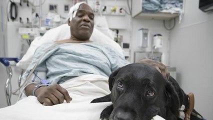 Grâce aux internautes, Cecil Williams, aveugle, va pouvoir garder le chien qui lui a sauvé la vie