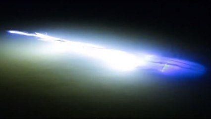 L'apparition d'une créature lumineuse dans les eaux du port de Bristol fait le buzz