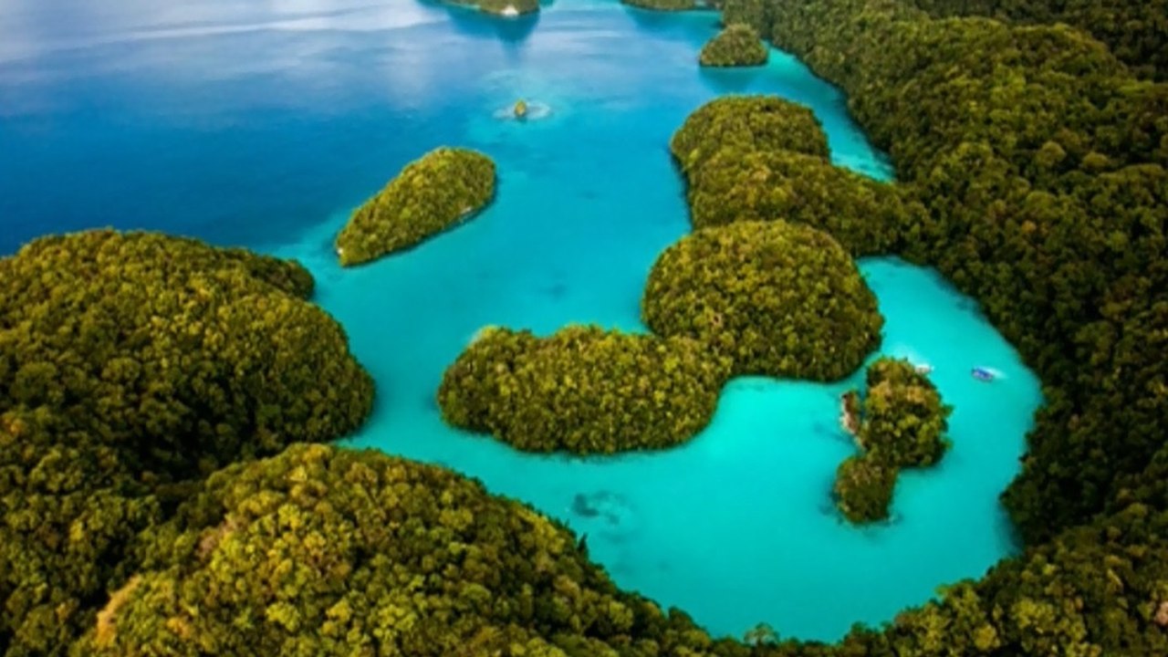 Découvrez les îles Palaos, l'un des plus beaux archipels du monde