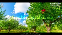 إسمع نداء الله لك [ يا عبادي ] فيديو من أجمل المقاطع _ الشيخ منصور السالمي